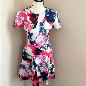 Milly for Design Nation Rosabella Dress